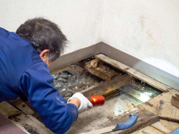 Water Damage Restoration in Batesburg Leesville, SC